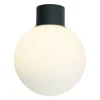 Aneta Lighting plafondi ulkovalaisin Saltvik musta/valkoinen