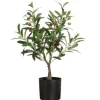 4Living oliivipuu ruukussa 60 cm