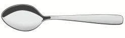 Tramontina Essentials tarjoilulusikka 24,5 cm