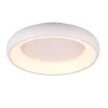 Trio Lighting kattovalaisin Cardona LED 47 cm mattavalkoinen
