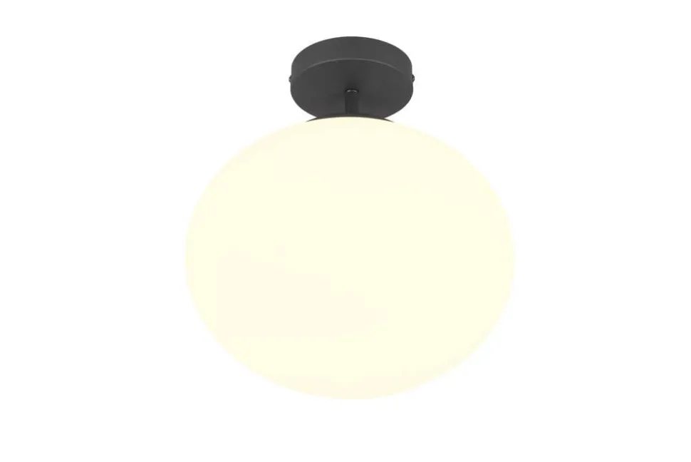 Trio Lighting kattovalaisin Fomento E27 mattamusta/valkoinen