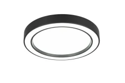 Trio Lighting LED kattovalaisin Arco 40 cm mattamusta RGBW