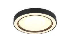 Trio Lighting LED kattovalaisin Arco 40 cm mattamusta RGBW