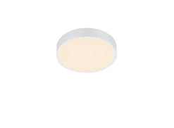 Trio Lighting LED kattovalaisin Waco 30 cm mattavalkoinen