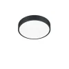 Trio Lighting LED kattovalaisin Waco 30 cm mattamusta