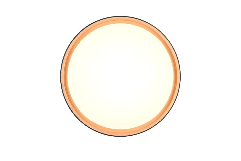 Trio Lighting LED kattovalaisin Felis 40 cm musta/kulta