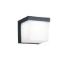 Trio Lighting LED seinävalaisin Yangtze antrasiitti