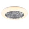 Trio Lighting LED tuuletinkattovalaisin Stralsund harmaa sta