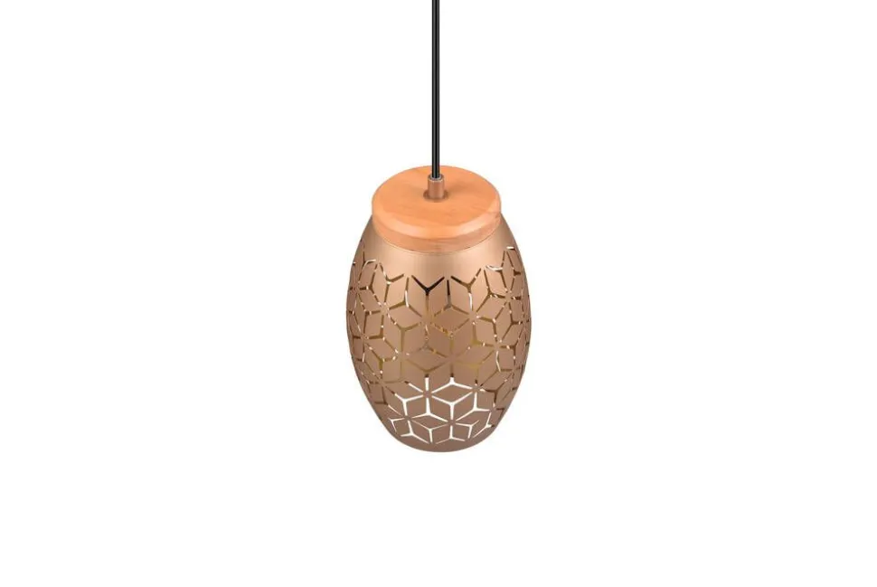 Trio Lighting riippuvalaisin Bidar 1-os E27 kahvinruskea