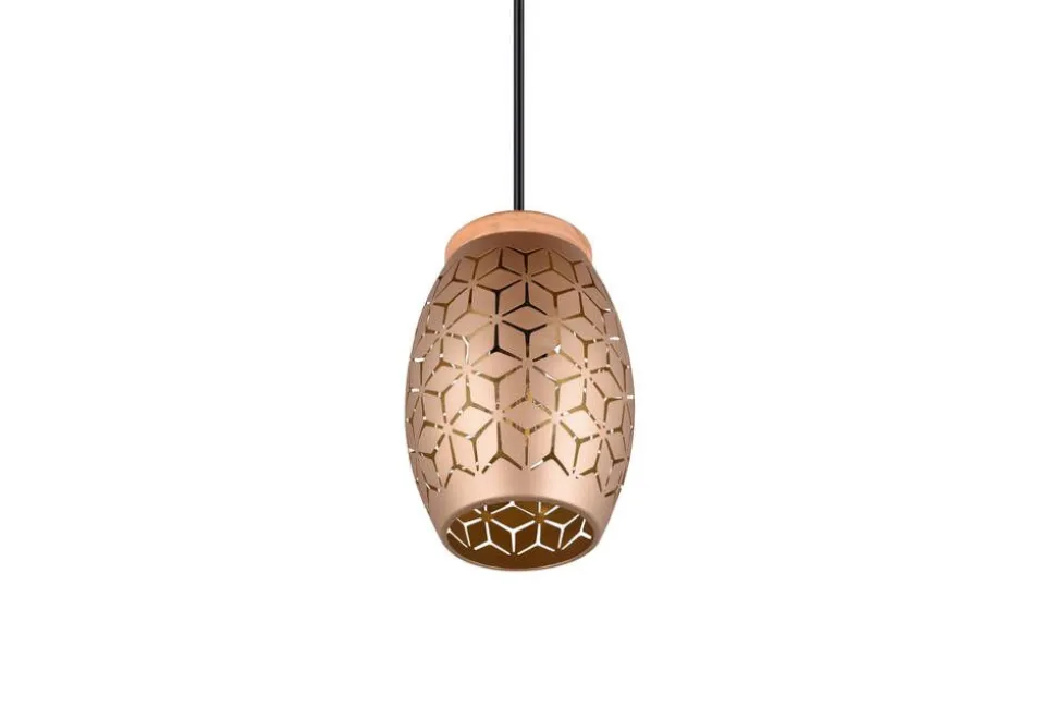 Trio Lighting riippuvalaisin Bidar 1-os E27 kahvinruskea
