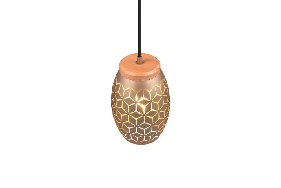 Trio Lighting riippuvalaisin Bidar 1-os E27 kahvinruskea