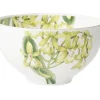 Villeroy&Boch muut Amazonia kulho 13 cm